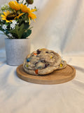 M&M Cookie