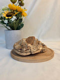 Cookie Butter Cookie